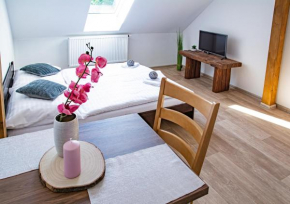 Apartmány Kurojedy, Bor U Tachova